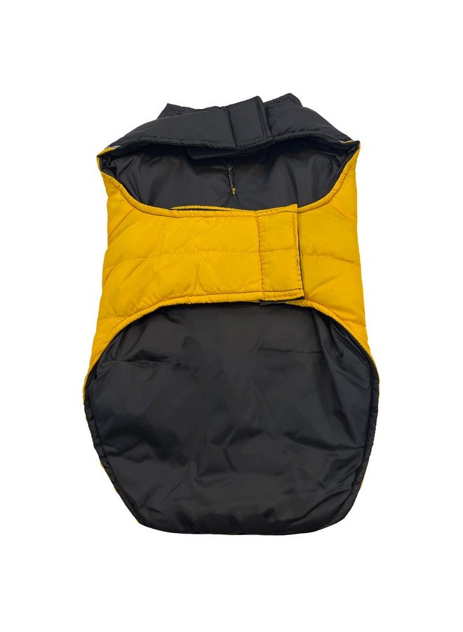 Pets First Pets First NHL Boston Bruins Puffer Vest for Dogs & Cats, Size Medium. Warm, Cozy, and Waterproof Dog Coat, for Small and Large Dogs/Cats. Best NHL Licensed PET Warming Sports Jacket - Image 2
