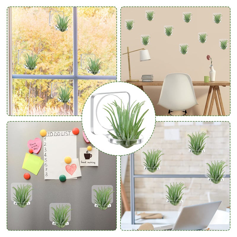 Jetec 12 Pcs Acrylic Air Plants Holder Hanger with Mounting Tape for Hanging Air Plants on Glass Display Home Decoration - Image 5