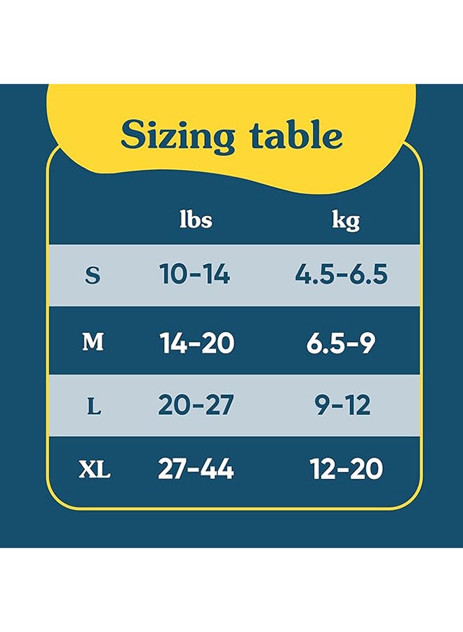 Charlie Banana 2 In 1 Swim Diaper And Traing Pants Bliue Pineapple Medium - Image 5