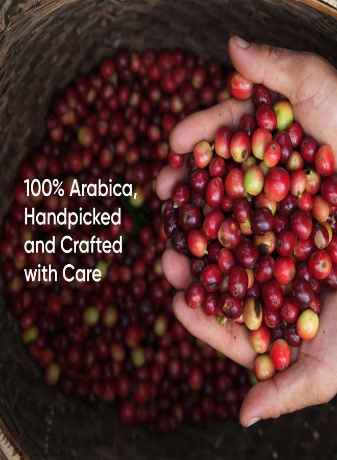 mindaxBrew قهوة مينداكس برو - نوتي ديزاير (5 أكياس) - عبوة من 4 أكياس | أكياس قهوة للتقطير | مصنوعة من حبوب قهوة أرابيكا نقية 100% | مزيج غني من نكهات المكسرات والترابية | قهوة محمصة طازجة | مسحوق قهوة - Image 3