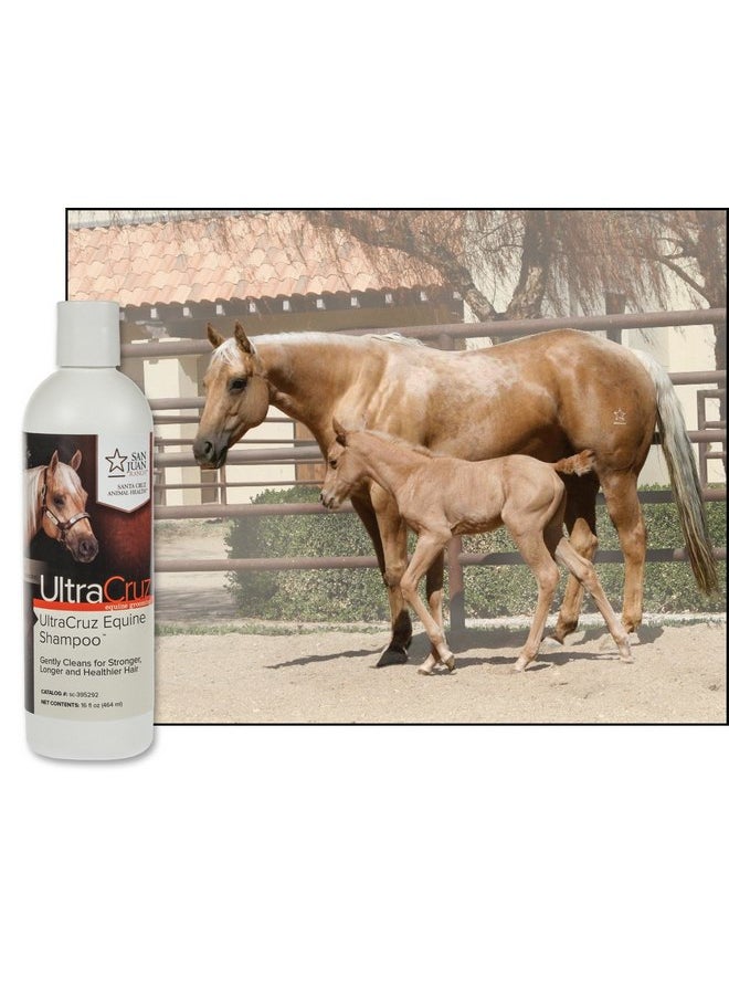 UltraCruz UltraCruz - sc-395292 Equine Horse Shampoo, 16 oz  - Image 3