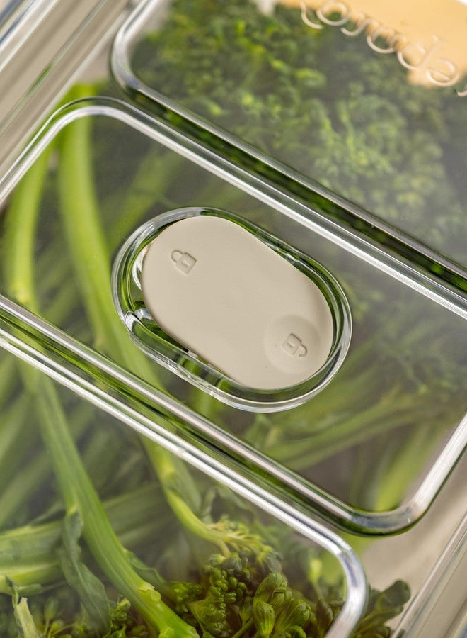 Prepara LatchLok Click 4.3 Cup Food Storage Container, Set of 2, Oat - Image 3