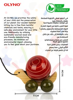OLYNO Handcrafted Non-Toxic Ivory Wooden Turtle Pulling Toy For Toddler Motor Skills Development With Smooth Rolling Wheels  - Image 5