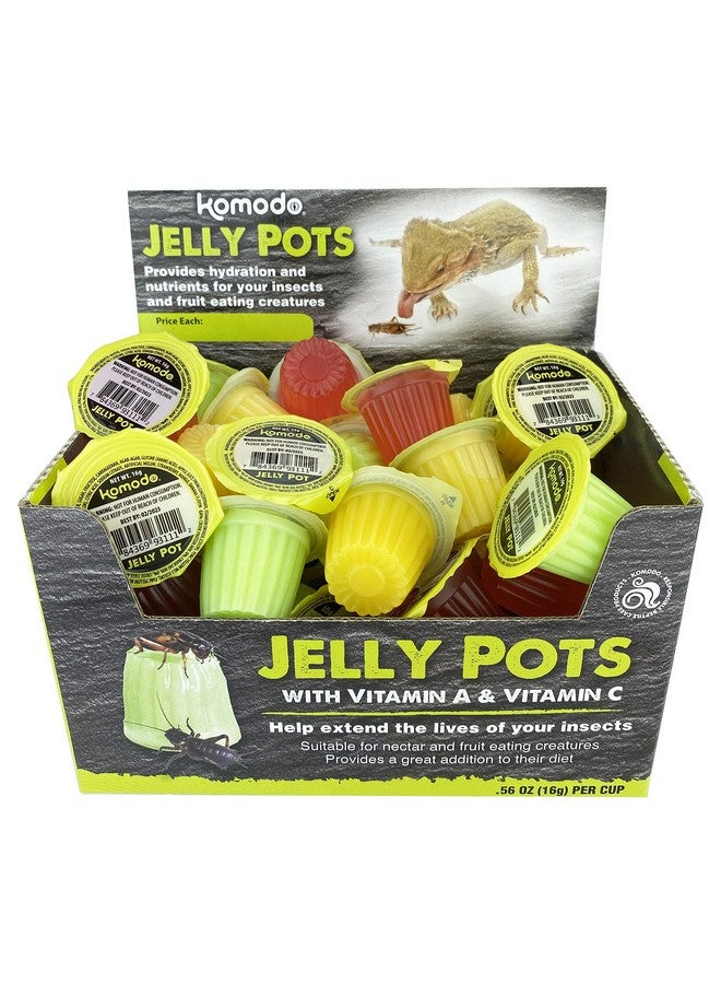 Multipet Komodo Jelly Pots Mixed Fruit Flavor Insect Food | Individually Portioned | Provides Nutrition & Hydration for Fruit-Eating Reptiles 40 Count Display (16g per Cup) - Image 1