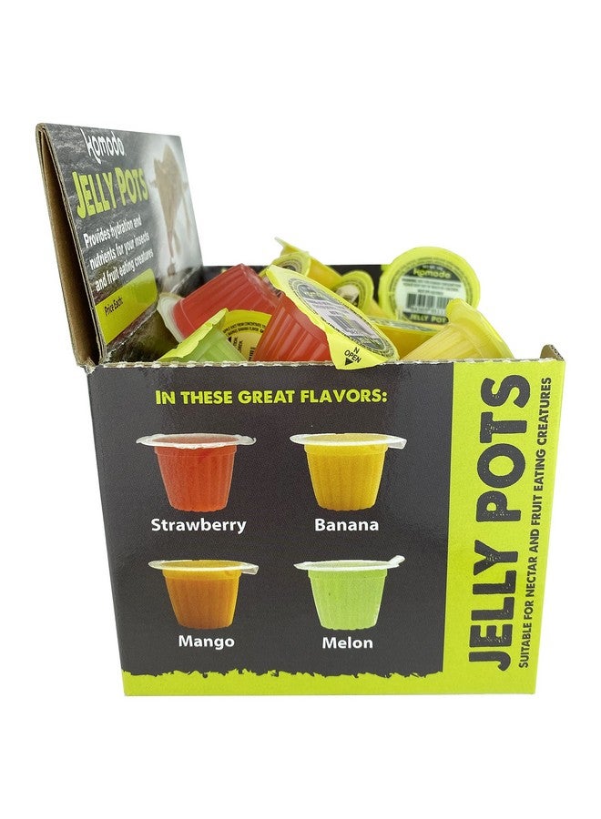 Multipet Komodo Jelly Pots Mixed Fruit Flavor Insect Food | Individually Portioned | Provides Nutrition & Hydration for Fruit-Eating Reptiles 40 Count Display (16g per Cup) - Image 3