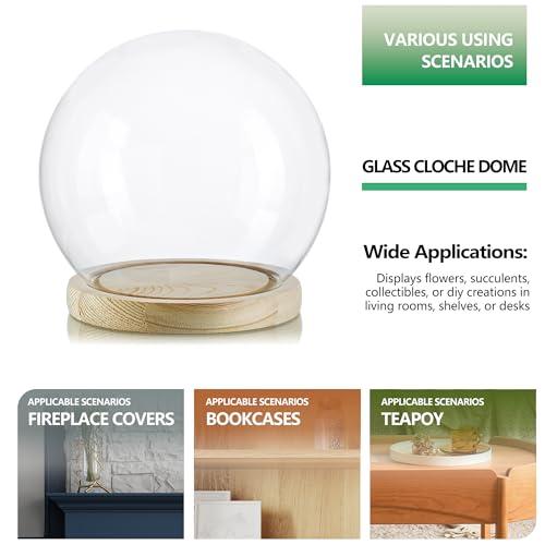 ZEERSHEE Round Globe Cloche Glass Dome with Wooden Base, 6" Glass Display Dome for Succulents, Plants & Keepsakes, Decorative Sphere Cloche Bell Jar for Collectibles & Home Decor - Image 5