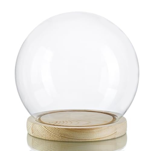 ZEERSHEE Round Globe Cloche Glass Dome with Wooden Base, 6" Glass Display Dome for Succulents, Plants & Keepsakes, Decorative Sphere Cloche Bell Jar for Collectibles & Home Decor - Image 1