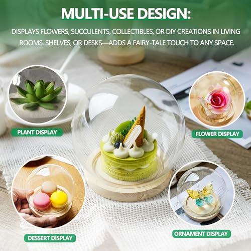 ZEERSHEE Round Globe Cloche Glass Dome with Wooden Base, 6" Glass Display Dome for Succulents, Plants & Keepsakes, Decorative Sphere Cloche Bell Jar for Collectibles & Home Decor - Image 4