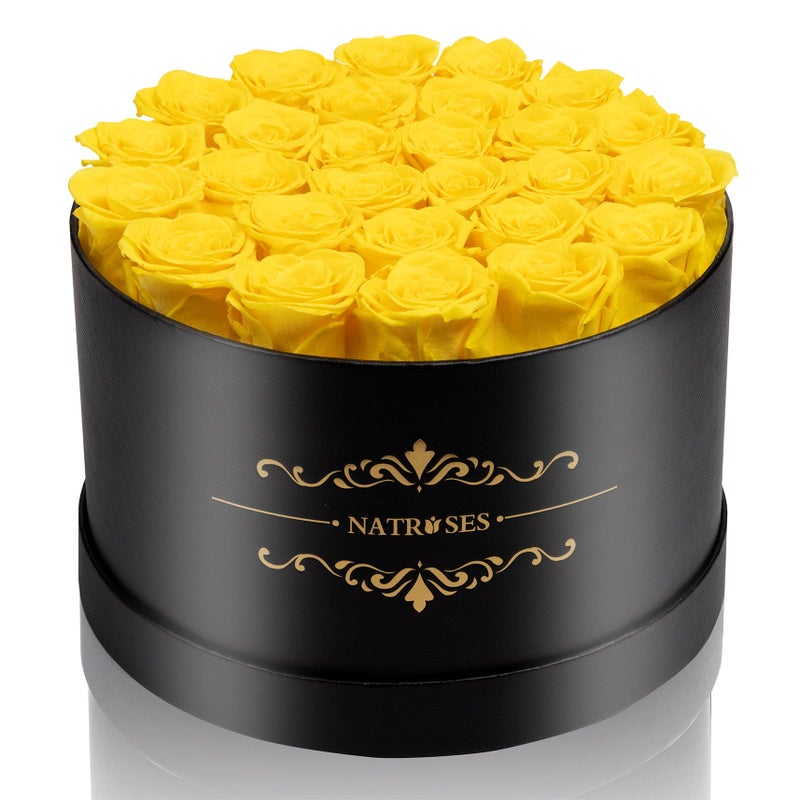 NATROSES 27 Piece Forever Preserved Roses in a Box Preserved Flowers for Delivery Birthday Flowers Gifts for Mothers Day Yellow