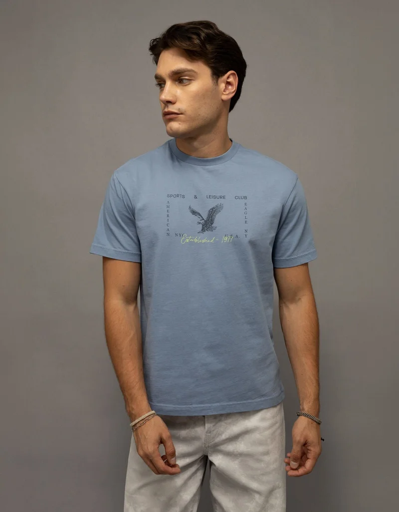 American Eagle AE Standard Fit Graphic T-Shirt