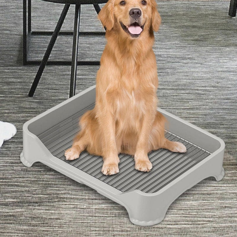 Pet Tray for Small and Medium Dogs, Indoor and Outdoor Use, Gray A - Image 4