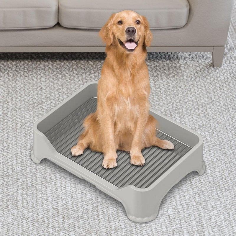 Pet Tray for Small and Medium Dogs, Indoor and Outdoor Use, Gray A - Image 2