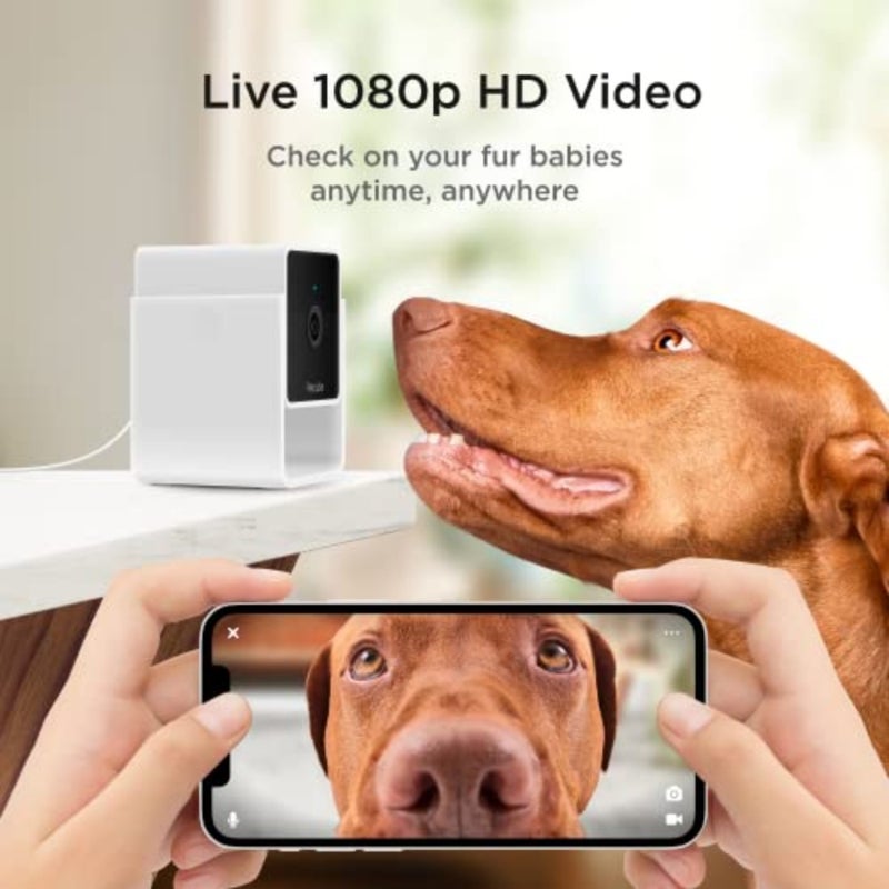 Pet Monitoring Camera with 1080p HD Video, Night Vision, 2 Way Audio, Magnet Mounting - Image 2