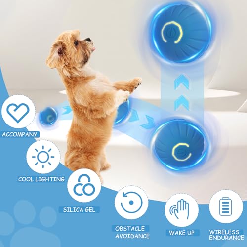TecoKart ® Interactive Dog Toys Ball, USB Rechargeable, Motion Activated Automatic Rolling Ball with Lights, Boredom Relief Exercise Pet Toy for Small, Medium, Large Dogs, Blue - Image 5