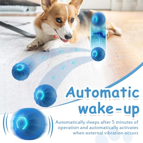 TecoKart ® Interactive Dog Toys Ball, USB Rechargeable, Motion Activated Automatic Rolling Ball with Lights, Boredom Relief Exercise Pet Toy for Small, Medium, Large Dogs, Blue - Image 2