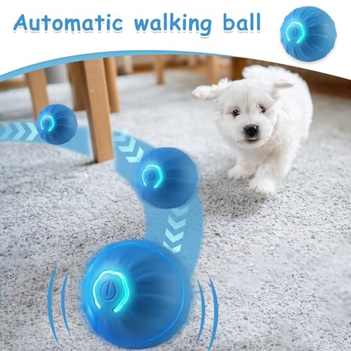 TecoKart ® Interactive Dog Toys Ball, USB Rechargeable, Motion Activated Automatic Rolling Ball with Lights, Boredom Relief Exercise Pet Toy for Small, Medium, Large Dogs, Blue - Image 4