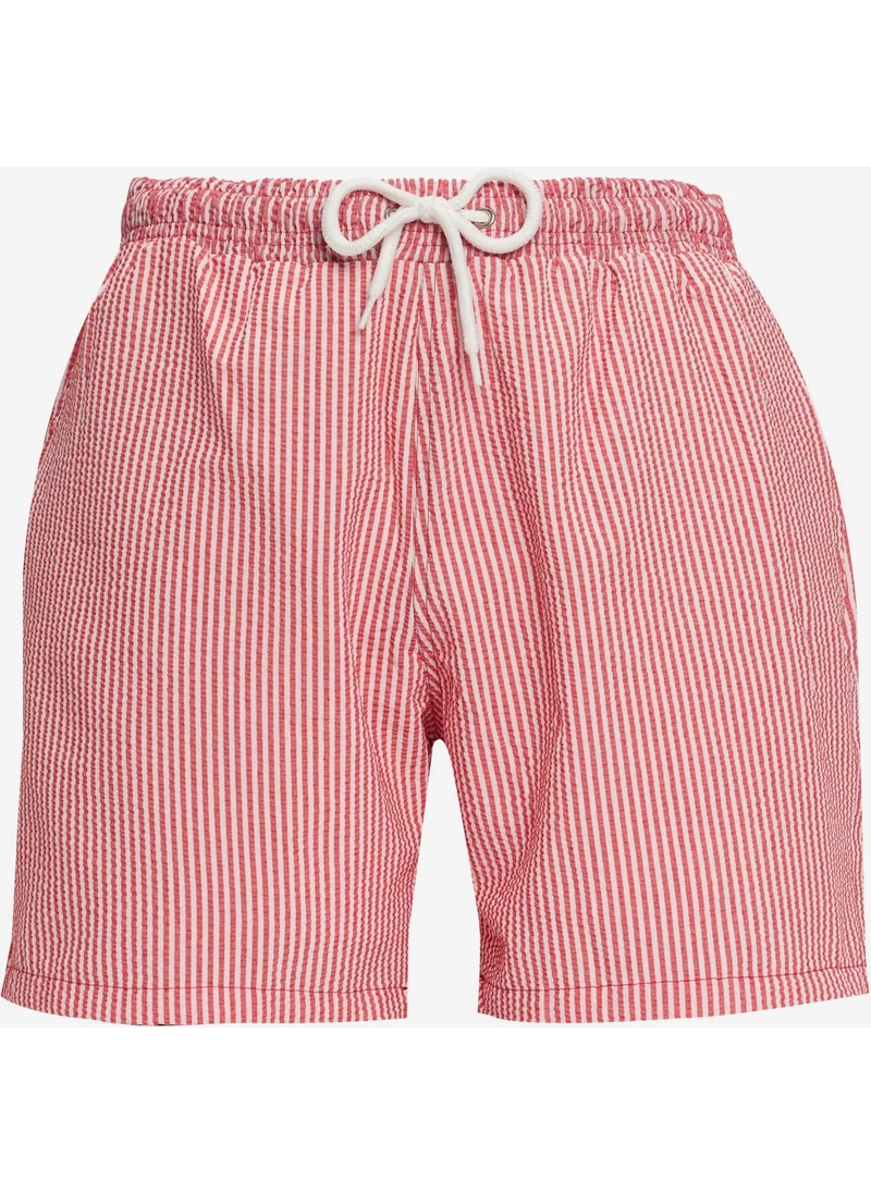 Tudors Men's Multicolored Swim Shorts