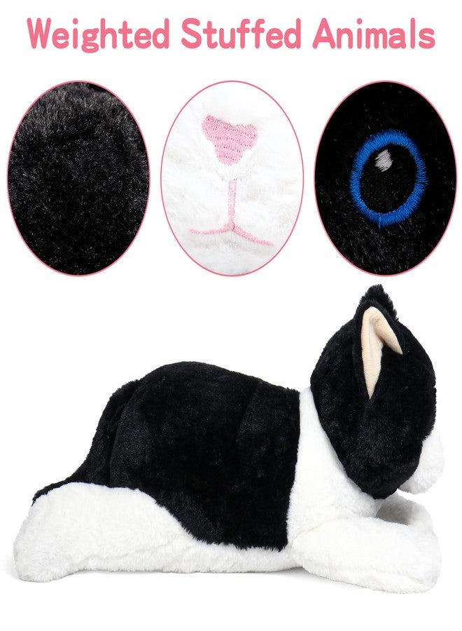 JellyMallow 5lbs Weighted Cat Stuffed Animals 24in, Black Cat Weighted Stuffed Animal Plushies Pillow Giant Plushies Gifts for Adults, Kids, Boys and Girls - Image 2