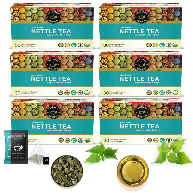 TEACURRY Pure Nettle Leaf Tea Box - 180 Pyramid Tea Bags | 100% Natural Nettle Leaf Tea | Blood Pressure and ease Joint Pain | Pure Nettle Leaf Tea Helps in Detoxify - Image 1
