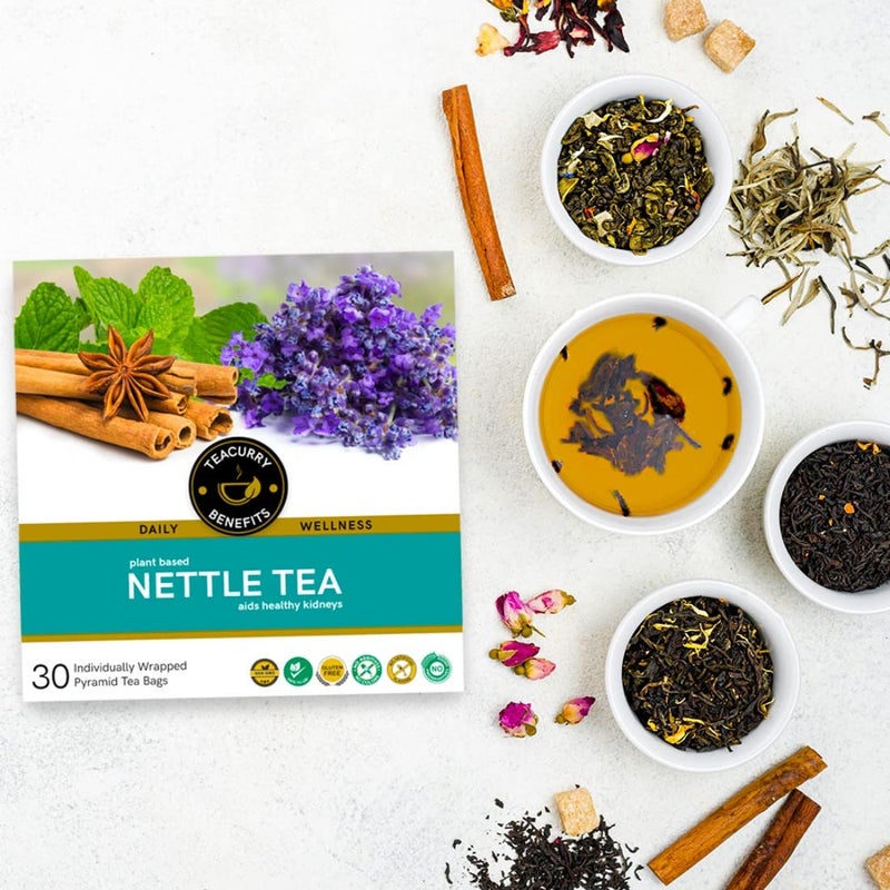 TEACURRY Pure Nettle Leaf Tea Box - 180 Pyramid Tea Bags | 100% Natural Nettle Leaf Tea | Blood Pressure and ease Joint Pain | Pure Nettle Leaf Tea Helps in Detoxify - Image 3