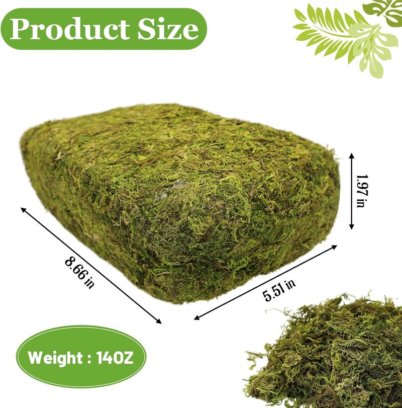 Riare 14OZ Artificial Fake Moss for Fake Plants Indoor- Premium Faux Craft Moss for Potted Plant, Fresh Forest Green for Hamsters Micro-Landscape Terrariums Centerpieces Decor - Image 1
