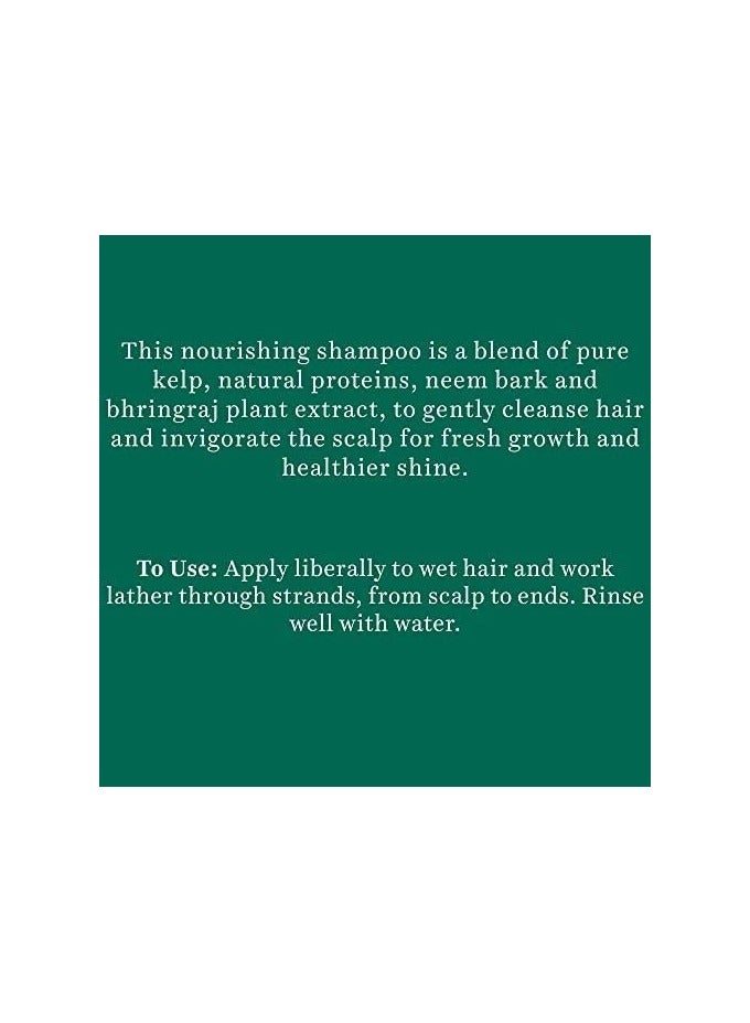 بيوتيك شامبو أوشن عشب البحر المضاد لتساقط الشعر شامبو علاج مكثف للنمو اللامع 100٪ مستخلصات نباتية لجميع أنواع الشعر 180 مل - Image 3