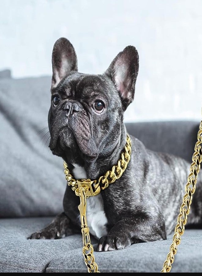SUPER CHAIN Leash Chew Proof Strong Hook with Soft Padded Handle (Medium) 105 cm Dog Chain Leash (Gold) - Image 4