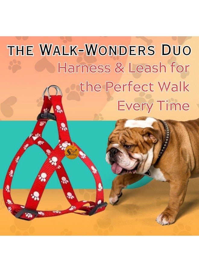 سايج سكوير طقم مقود أحمر - إكسسوارات مريحة وأنيقة للمشي مع الحيوانات الأليفة للكلاب والقطط، مريح، أحمر نابض بالحياة، مقود سهل الاستخدام، أنيق، آمن للحيوانات الأليفة، منتجات موثوقة للتحكم في الحيوانات الأليفة - Image 2