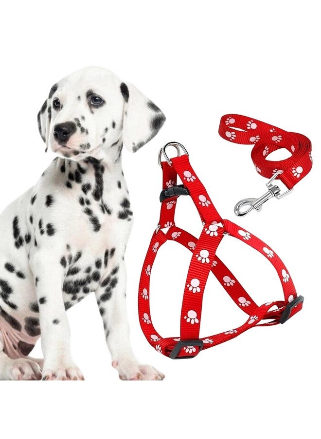 سايج سكوير طقم مقود أحمر - إكسسوارات مريحة وأنيقة للمشي مع الحيوانات الأليفة للكلاب والقطط، مريح، أحمر نابض بالحياة، مقود سهل الاستخدام، أنيق، آمن للحيوانات الأليفة، منتجات موثوقة للتحكم في الحيوانات الأليفة - Image 1