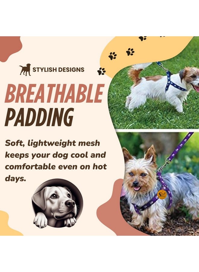 سايج سكوير طقم مقود أحمر - إكسسوارات مريحة وأنيقة للمشي مع الحيوانات الأليفة للكلاب والقطط، مريح، أحمر نابض بالحياة، مقود سهل الاستخدام، أنيق، آمن للحيوانات الأليفة، منتجات موثوقة للتحكم في الحيوانات الأليفة - Image 3