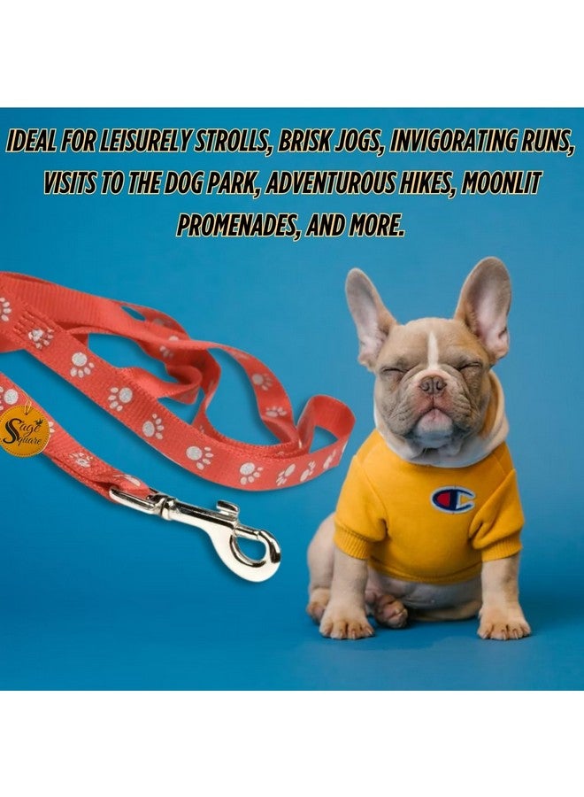 سايج سكوير طقم مقود أحمر - إكسسوارات مريحة وأنيقة للمشي مع الحيوانات الأليفة للكلاب والقطط، مريح، أحمر نابض بالحياة، مقود سهل الاستخدام، أنيق، آمن للحيوانات الأليفة، منتجات موثوقة للتحكم في الحيوانات الأليفة - Image 4