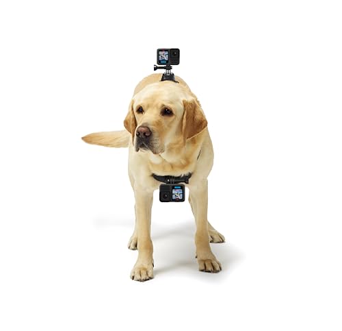 GoPro Fetch Dog Harness - Official GoPro Mount - Image 3