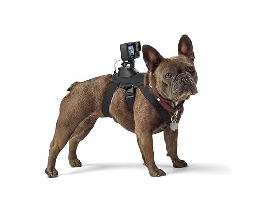 GoPro Fetch Dog Harness - Official GoPro Mount - Image 2