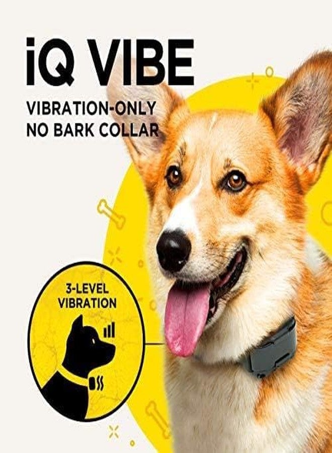 Dogtra iQ Vibe Vibration Only No Bark Collar Rechargeable Waterproof Compact - Image 3