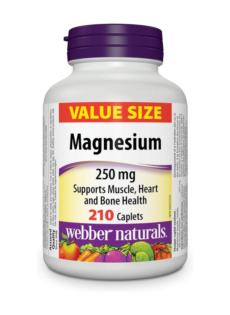 Webber Naturals Magnesium 250 mg 210 Caplets - pzsku/Z70D0066E5291029EED6AZ/45/_/1717496427/a2c09c04-3ad4-445c-abd3-cd903275f6c5