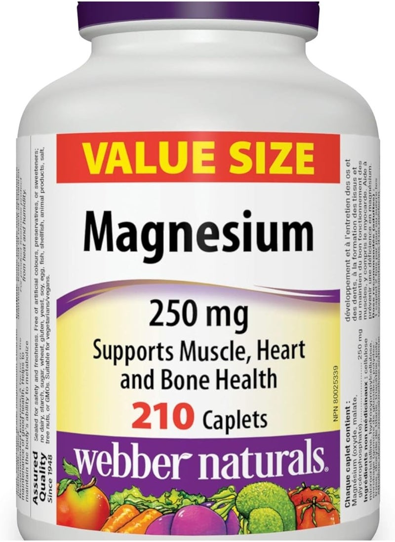 Webber Naturals Magnesium 250 mg 210 Caplets - pzsku/Z70D0066E5291029EED6AZ/45/_/1717496430/5b3f6e87-cff1-4d4b-b224-f505230efb14