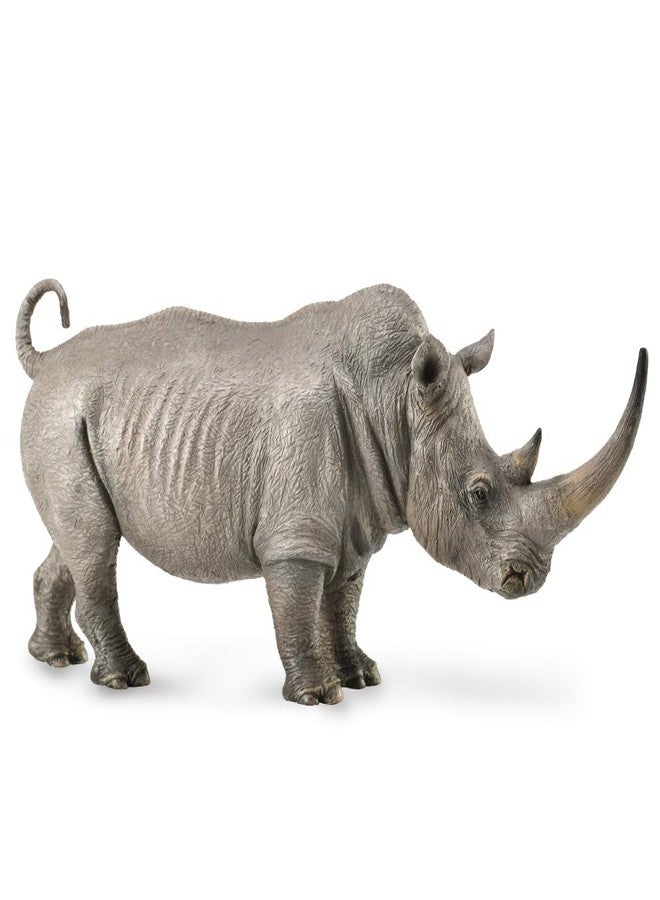 CollectA White Rhinoceros