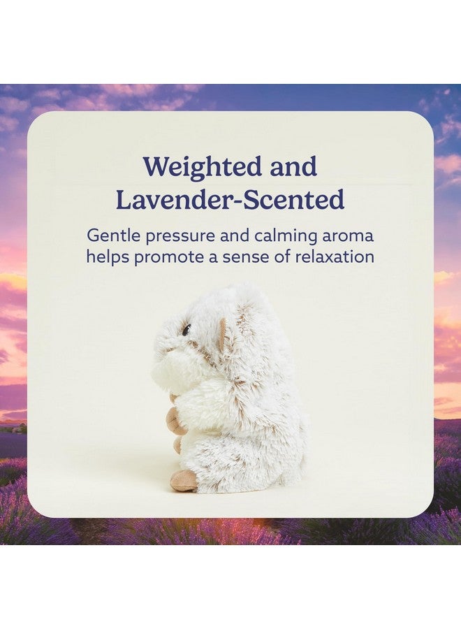 warmies Microwavable & Weighted Stuffed Animals, Hamster - Heated Stuffed Animal Plushie for Warmth & Comfort - Cute Soft Plush Toys for Adults & Children (Boys, Girls, Babies & Toddlers) - Image 3