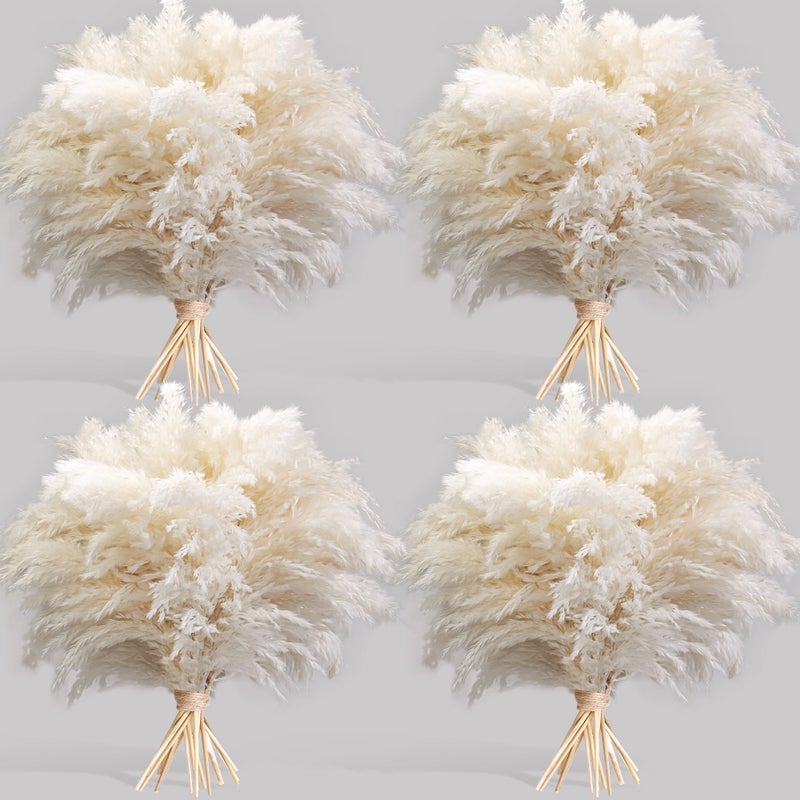 Kocat 40PCS White Pampas Grass for Home Decor Elegant Boho Decor Premium Quality Pampas Grass Stems Perfect for House Nursery Western Wedding Table and Bohemian Decor - Image 2