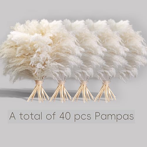 Kocat 40PCS White Pampas Grass for Home Decor Elegant Boho Decor Premium Quality Pampas Grass Stems Perfect for House Nursery Western Wedding Table and Bohemian Decor - Image 3
