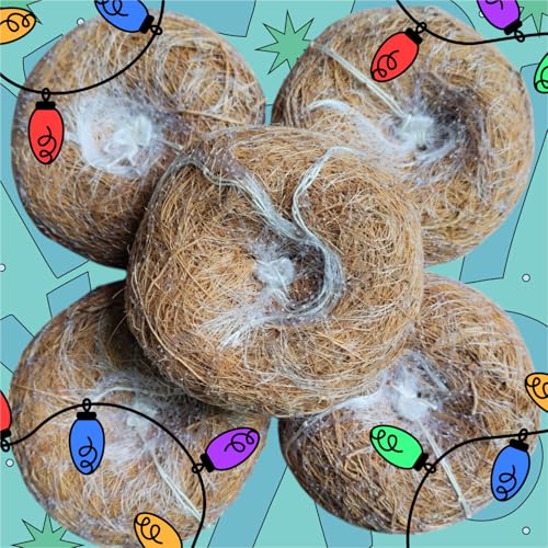 LJL Traders Vetiver Scrub Natural Loofah Pads, Handmade Ayurvedic Kerala Ramacham Scrubbers, Khus Roots, Skin Exfoliating Organic Round Shower Loofah & Bath Sponge Body Brushes, Pack of 5 - Image 5