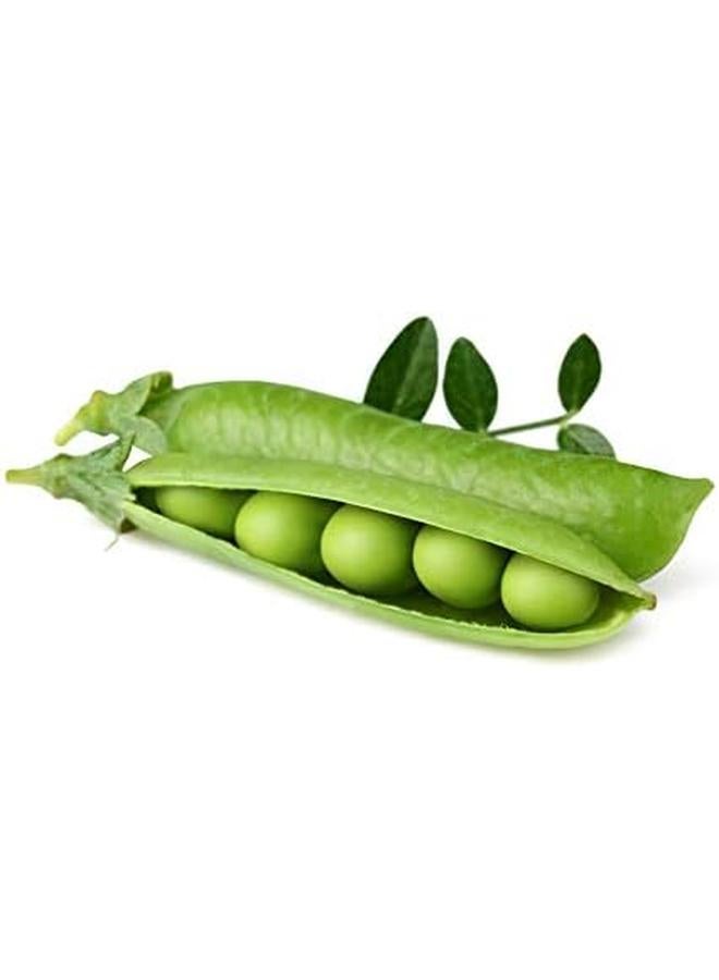 كليك آند جرو قزم البازلاء 3 حزمة - Image 2