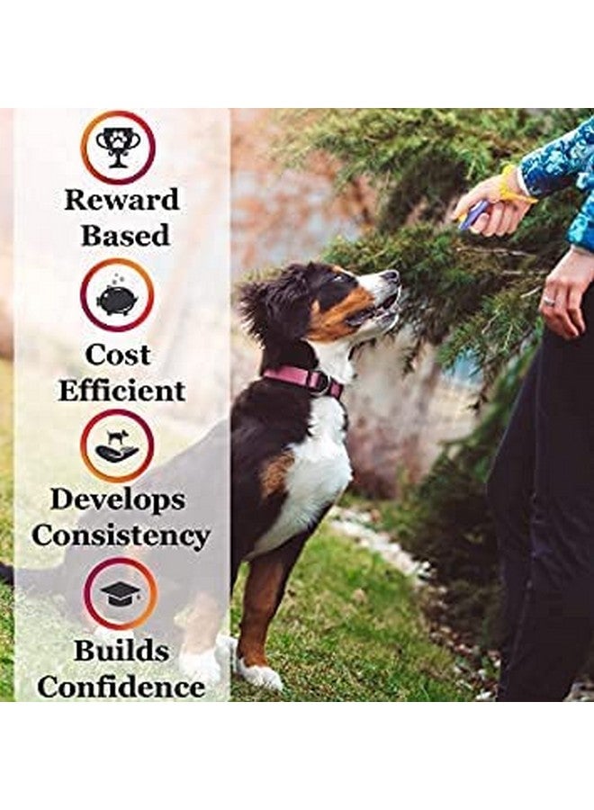 جهاز تدريب الحيوانات الأليفة مع حزام معصم للكلاب/القطط/القطط الصغيرة/الجراء - قطعة واحدة قد يختلف اللون - Image 5