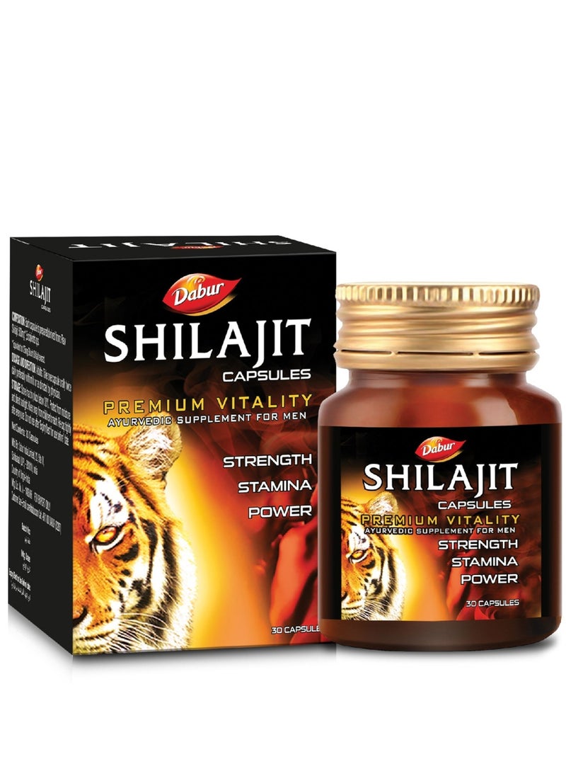 Dabur - Dabur Shilajit for Vigour & Health, 30 Capsules - Image 1