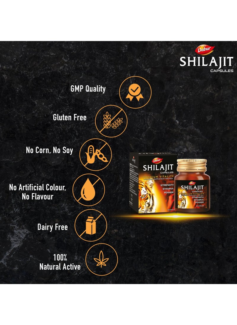 Dabur - Dabur Shilajit for Vigour & Health, 30 Capsules - Image 1