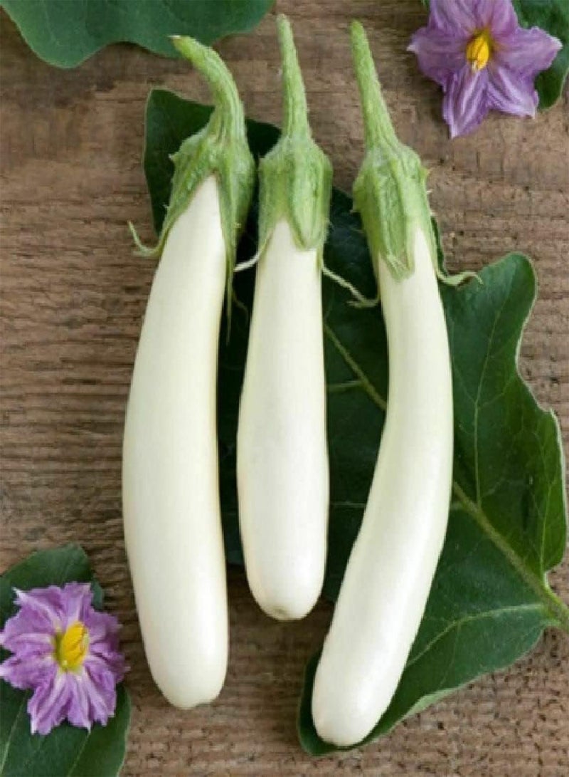 Casper White Aubergine - Solanum Melongena Vegetable Seeds, Also Known as Eggplant Home Garden Planting by Heavy Torch, 15 Seeds