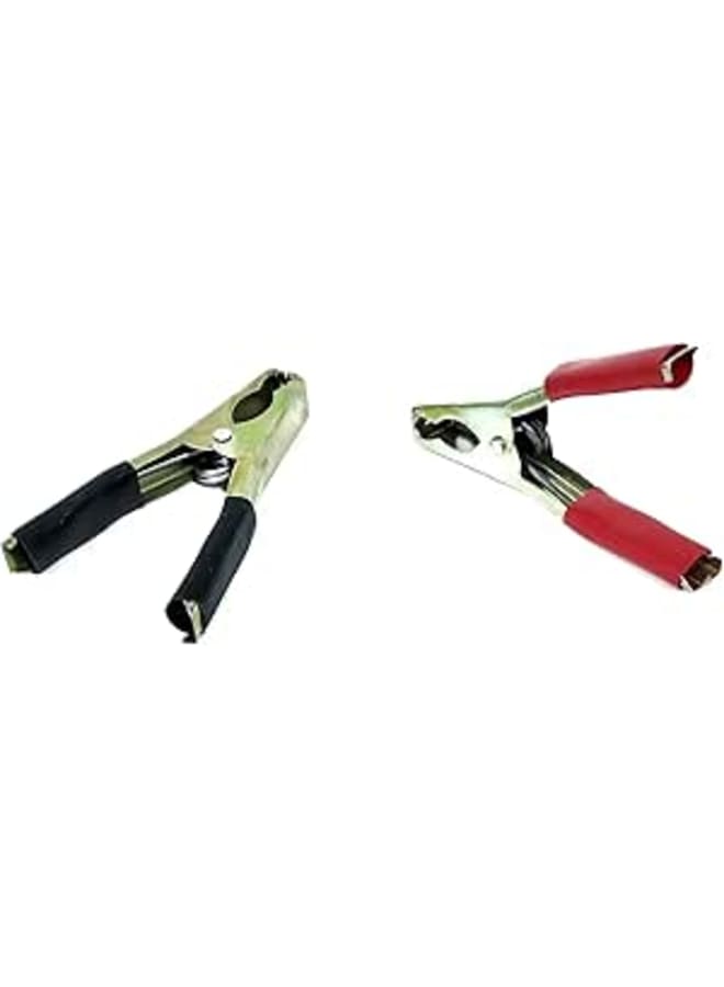 100A Battery Alligator Clamp (2pcs)