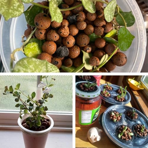 Halatool 2 LB Natural Expanded Clay Pebbles for Plants 4mm-16mm Clay Balls 100% Organic Hydroton Leca Balls for Indoor Plants Hydroponic Growing Gardening Orchids Drainage Decoration Aquaponics - Image 5