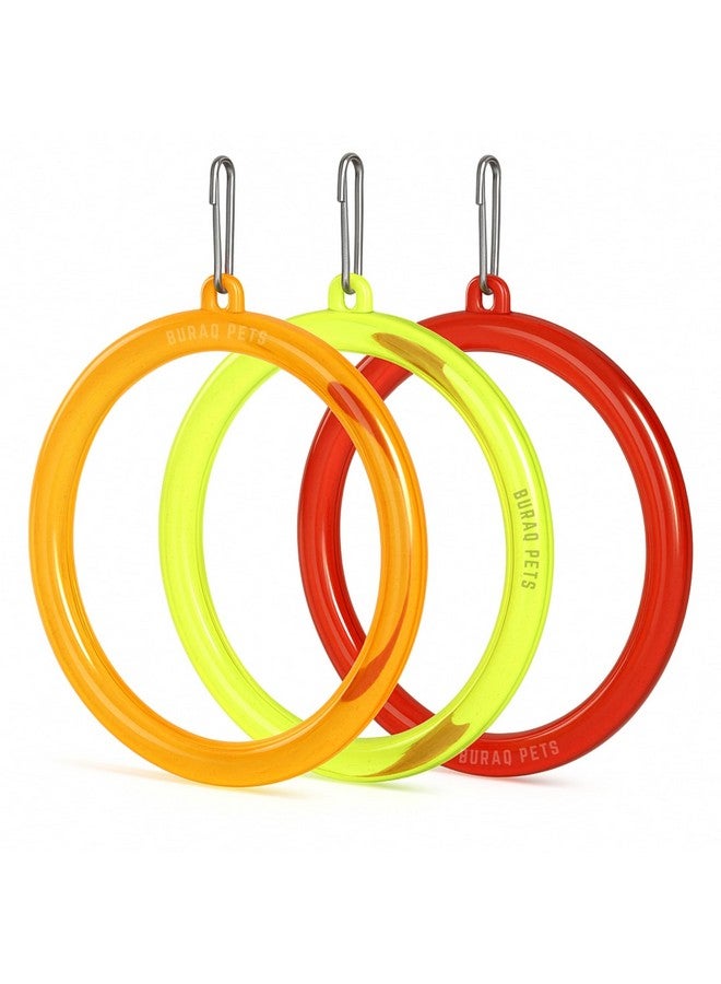 Buraq 3 Pcs Interactive Playful Bird Hanging Ring - for Hanging Swing | Holding | Chewing & Playing | Set Suitable for Love Birds | Budgies | Parrot | Cockatiel | Conure | Finches - Image 1