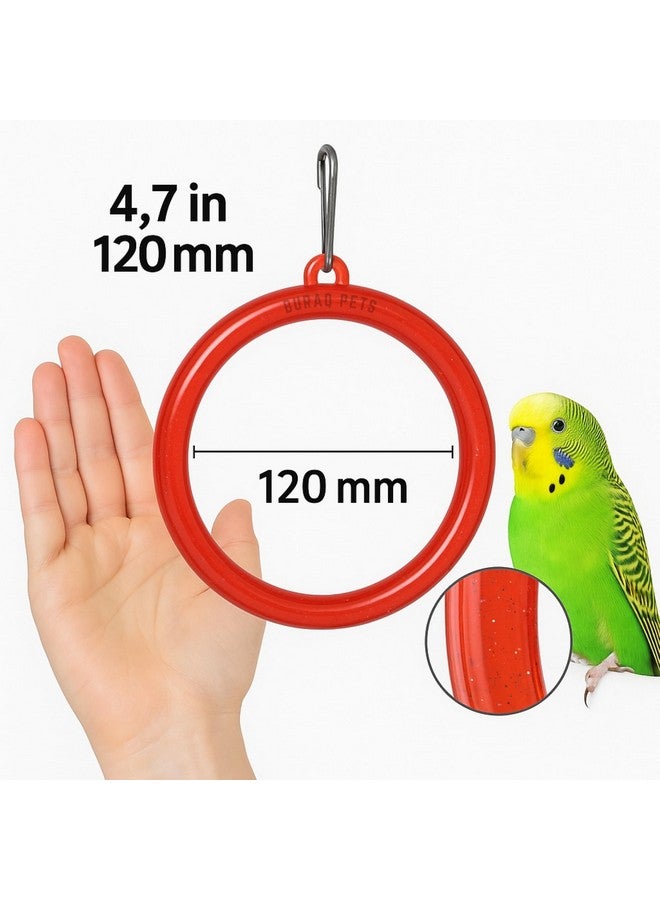 Buraq 3 Pcs Interactive Playful Bird Hanging Ring - for Hanging Swing | Holding | Chewing & Playing | Set Suitable for Love Birds | Budgies | Parrot | Cockatiel | Conure | Finches - Image 3